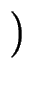 $\displaystyle \left.\vphantom{ \gamma_0 + \gamma_1 \vert\nabla h\vert + \gamma_3 \vert\nabla h\vert^3 }\right)$